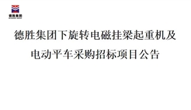 2026世界杯（中国区）官方中文网站-Officia
下旋转电磁挂梁起重机及电动平车采购招标项目