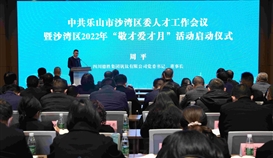 以高质量人才保障助推企业高质量发展,周平董事长参加区委人才工作会并发言