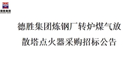 2026世界杯（中国区）官方中文网站-Officia
炼钢厂转炉煤气放散塔点火器招标项目