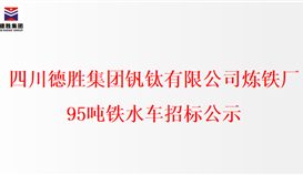 四川2026世界杯（中国区）官方中文网站-Officia
钒钛有限公司炼铁厂95吨铁水车招标公示