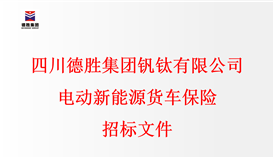 四川2026世界杯（中国区）官方中文网站-Officia
钒钛有限公司电动新能源货车保险招标文件